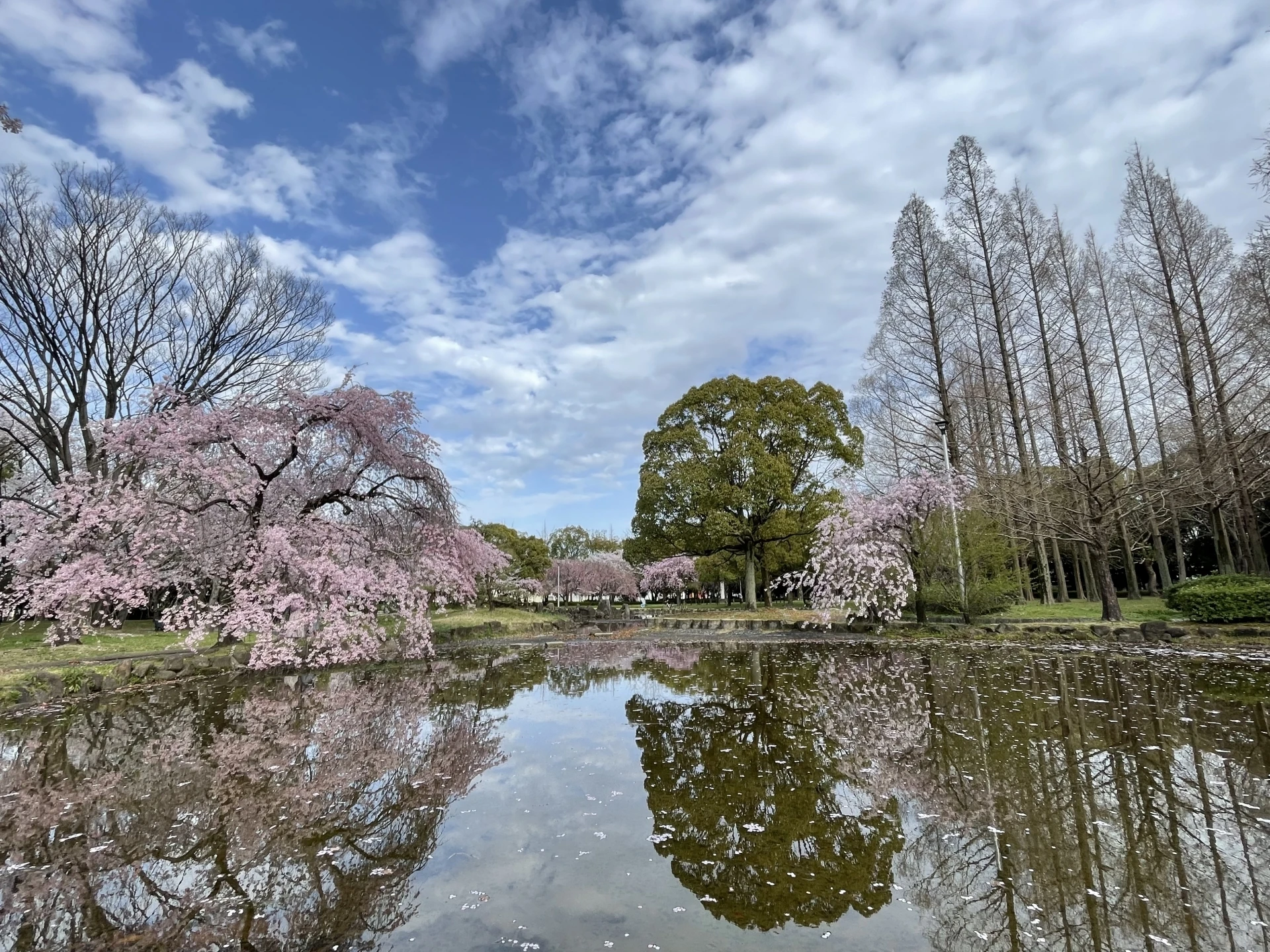 名古屋で相続や放棄のお悩み解決！信頼の司法書士がサポート