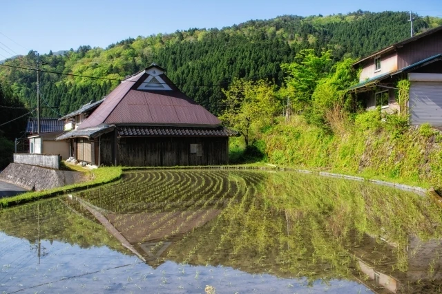 相続手続きの重要性